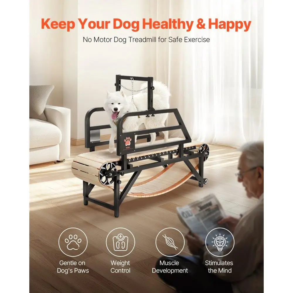 Heavy Duty Dog Treadmill for medium Dogs Indoor Pet Exercise Machine Adjustable for Home Use
Heavy Duty Dog Treadmill for medium Dogs Indoor Pet Exercise Machine Adjustable for Home Use