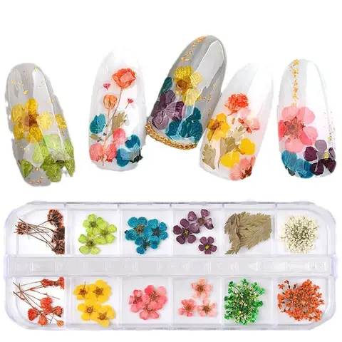 12 Colors Dried Flower Nail Art Decorations 3D Natural Florals Baby's Breath  Daisies Nail Stickers DIY Handmade Manicure Decor