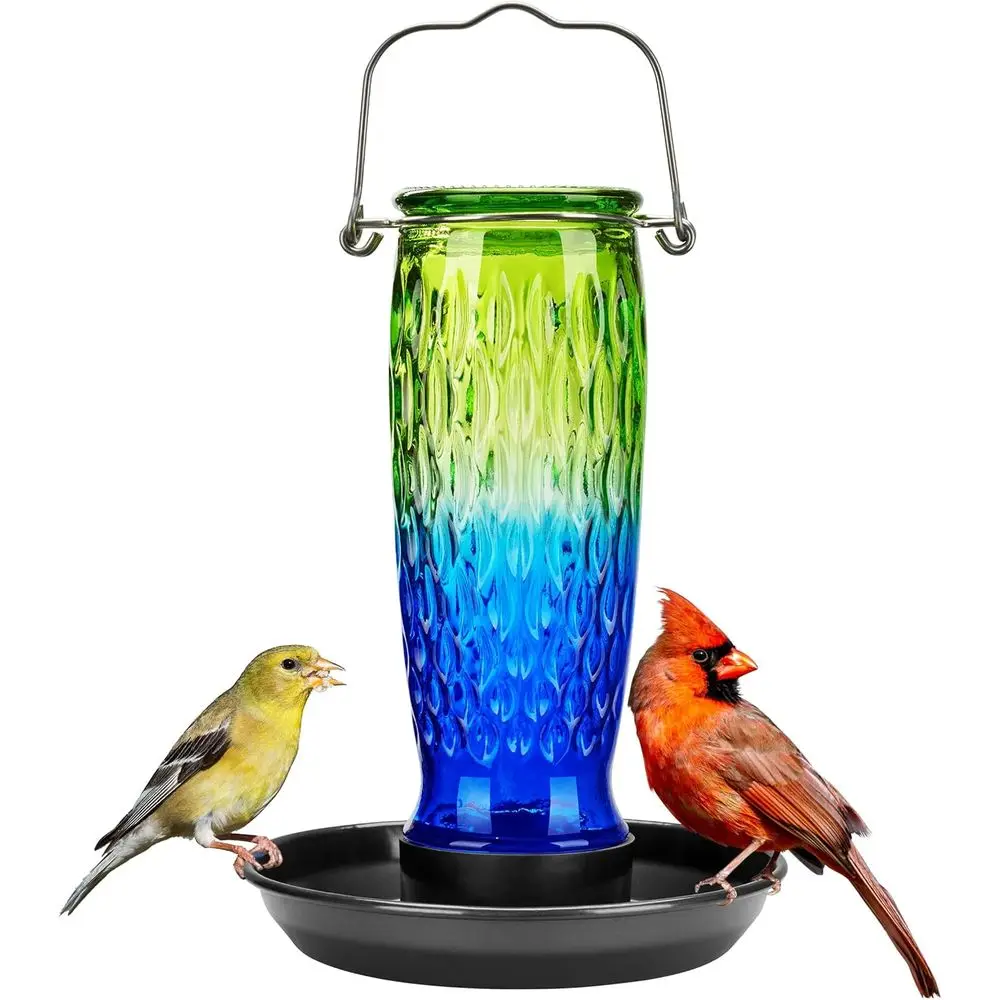 24-Ounce Glass Bird Water Dispenser with Metal Hanging for Outdoor Garden Yard Decoration, Green & Blue
24-Ounce Glass Bird Water Dispenser with Metal Hanging for Outdoor Garden Yard Decoration, Green & Blue