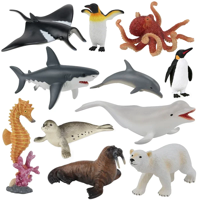 In Stock New Canma Education Toy Shark Chelonia spp Dick Manta Polar Bear Hippocampus Octopus Walrus Penguin Animal Model Toy
In Stock New Canma Education Toy Shark Chelonia spp Dick Manta Polar Bear Hippocampus Octopus Walrus Penguin Animal Model Toy