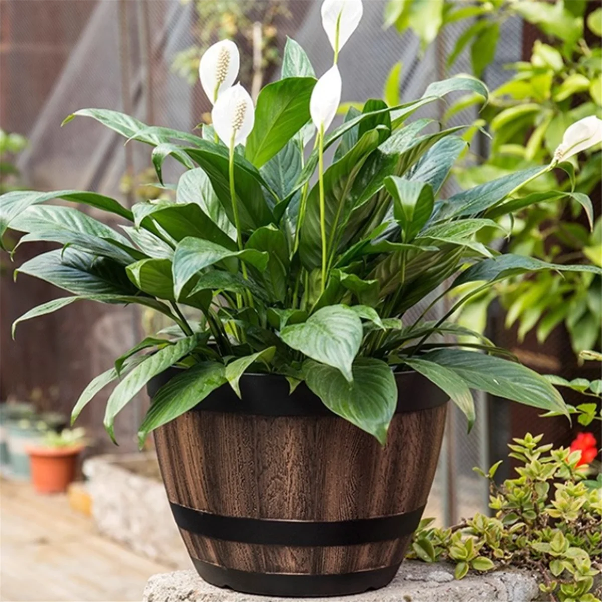 Flower Pots, Whiskey Barrel Flower Pots, Plastic Flower Pots Imitation Wine Barrel Design,for Garden Plants(3PCS),30cm
Flower Pots, Whiskey Barrel Flower Pots, Plastic Flower Pots Imitation Wine Barrel Design,for Garden Plants(3PCS),30cm