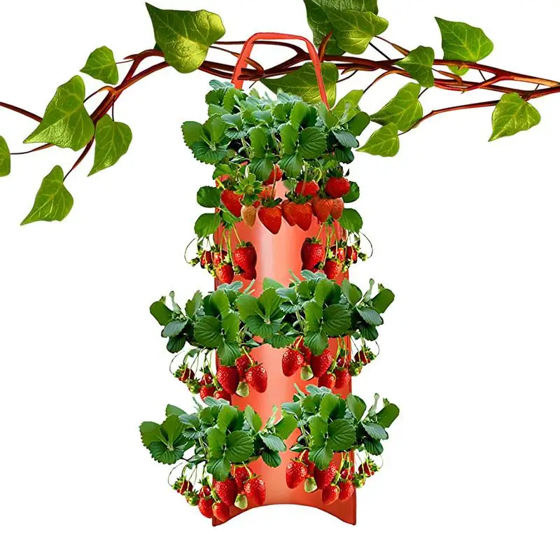 Strawberry Planting Bag Plant Grow Bag Heavy-Duty Garden Planting Supplies With Handle For Backyard Terrace Balcony Railing 
Strawberry Planting Bag Plant Grow Bag Heavy-Duty Garden Planting Supplies With Handle For Backyard Terrace Balcony Railing