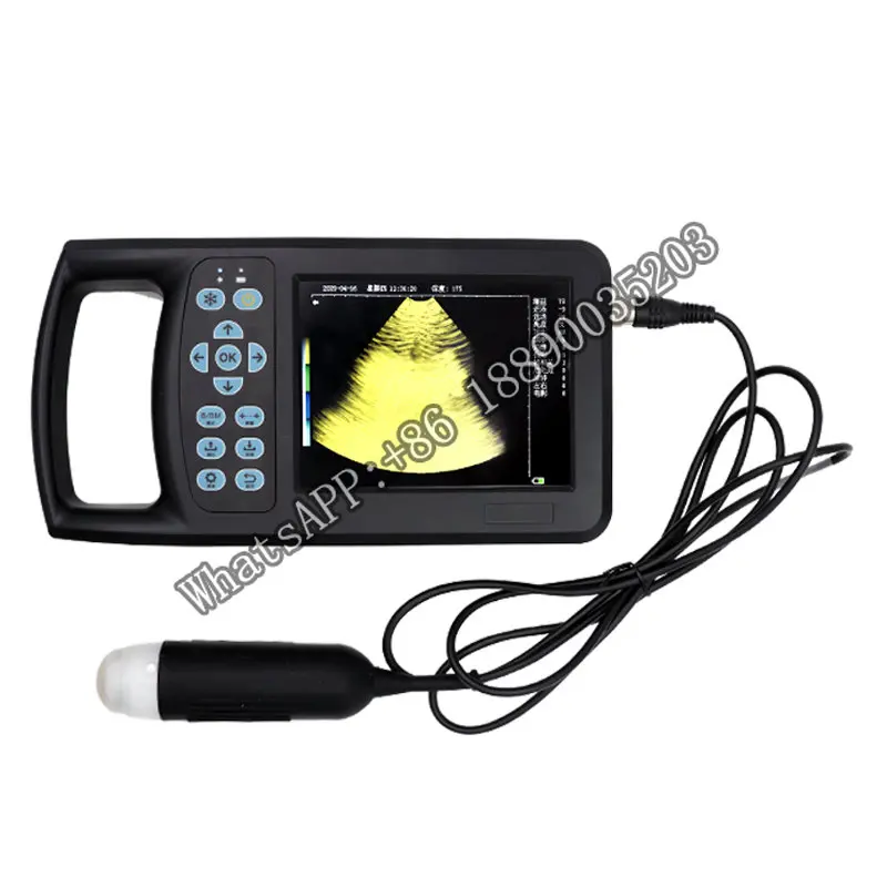 Veterinary Portable Ultrasound Sheep Pig Animal Pregnancy Scanner Machine For Sale
Veterinary Portable Ultrasound Sheep Pig Animal Pregnancy Scanner Machine For Sale