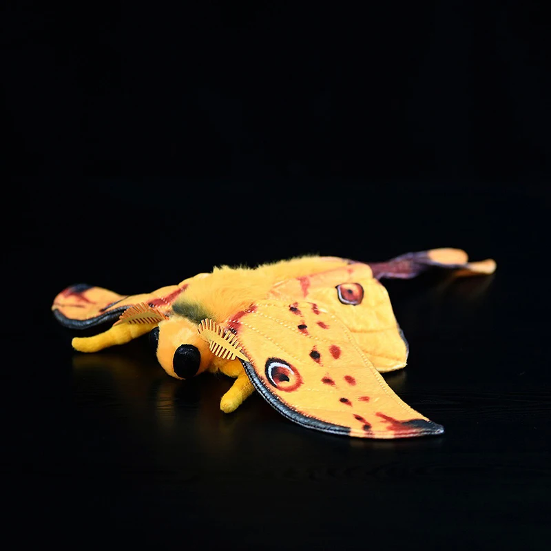 Cute Comet Moth Soft Stuffed Plush Toy Realistic Simulation Argema MittreiAnimals Model Doll Kids Audlt Gifts
Cute Comet Moth Soft Stuffed Plush Toy Realistic Simulation Argema MittreiAnimals Model Doll Kids Audlt Gifts