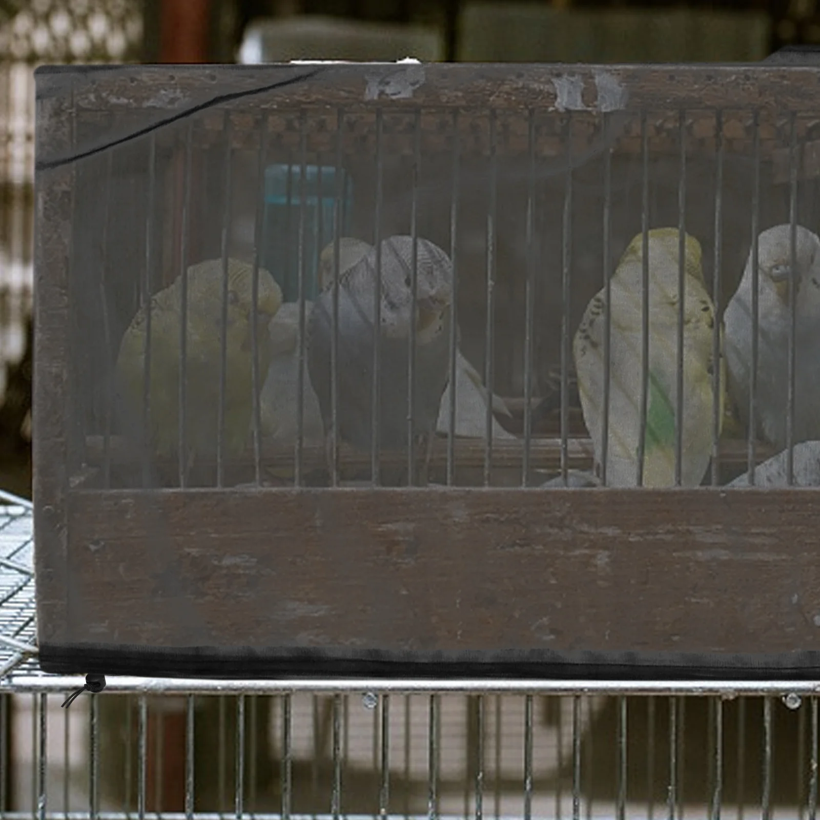 Elastic Bird Cage Cover 40cm Height 100-200cm Circumference Black Mesh Accessories for Birdcage aviary breathable dust proof
Elastic Bird Cage Cover 40cm Height 100-200cm Circumference Black Mesh Accessories for Birdcage aviary breathable dust proof