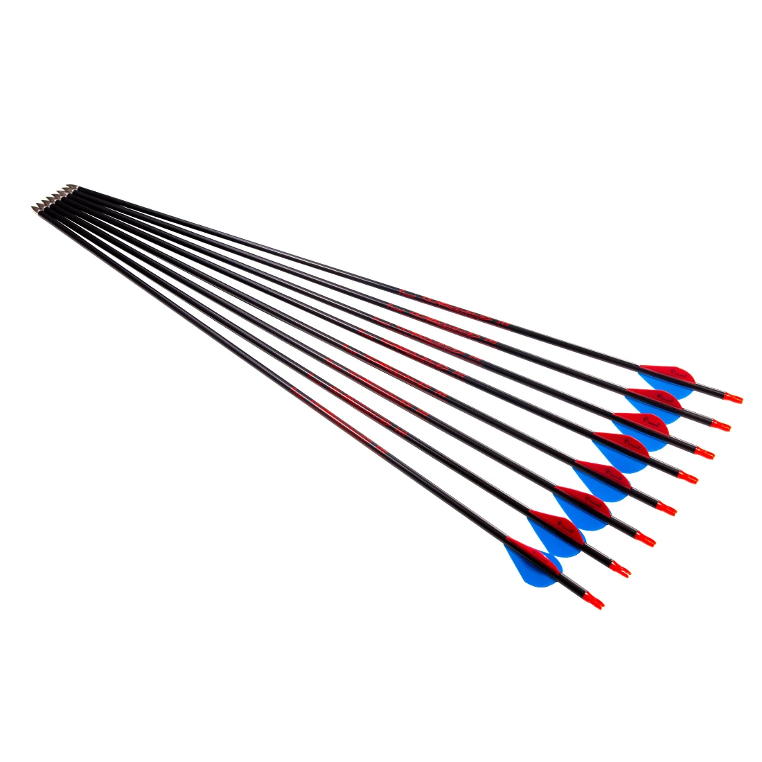 12Pcs ID6.2mm Finished Pure Carbon Arrows Archery Spine 300 340 400 Field Archery Hunting Shooting Practice Length 28 29 30 In
12Pcs ID6.2mm Finished Pure Carbon Arrows Archery Spine 300 340 400 Field Archery Hunting Shooting Practice Length 28 29 30 In