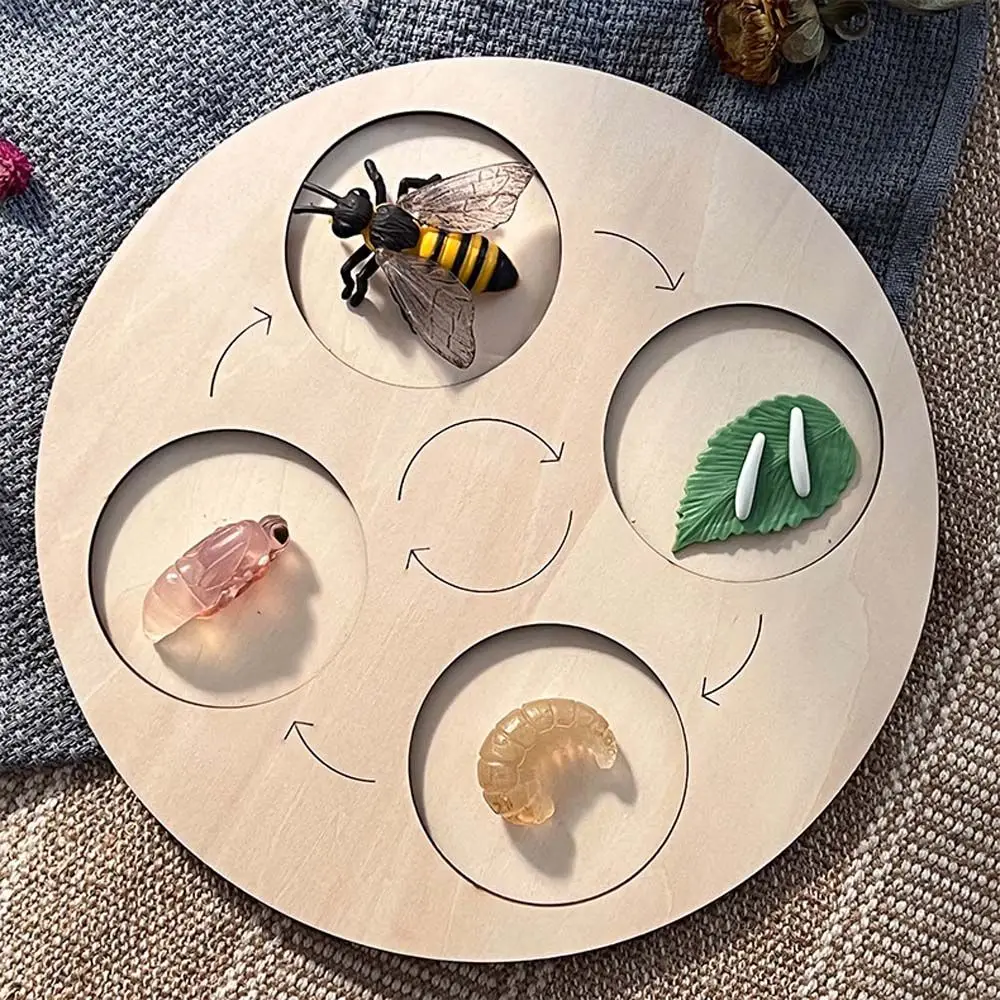 Aids Learning Toy Animal Plant Model Kids Growth Cycle Toy Animal Life Cycle Board Kids Cognitive Toy Children Cognitive Game
Aids Learning Toy Animal Plant Model Kids Growth Cycle Toy Animal Life Cycle Board Kids Cognitive Toy Children Cognitive Game