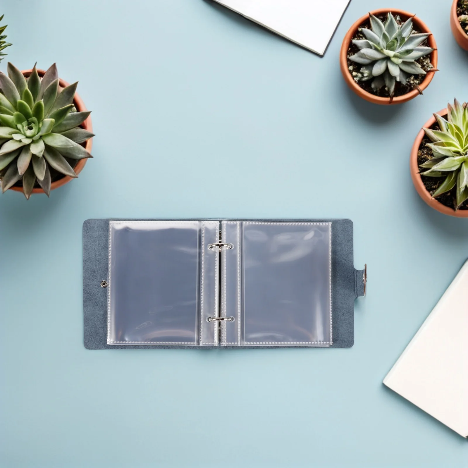 1set 1Set Seed Storage Organizer Binder 25 Packet Sleeves 50 Resealable Envelopes For Garden Vegetable Flower Seeds Fake
1set 1Set Seed Storage Organizer Binder 25 Packet Sleeves 50 Resealable Envelopes For Garden Vegetable Flower Seeds Fake