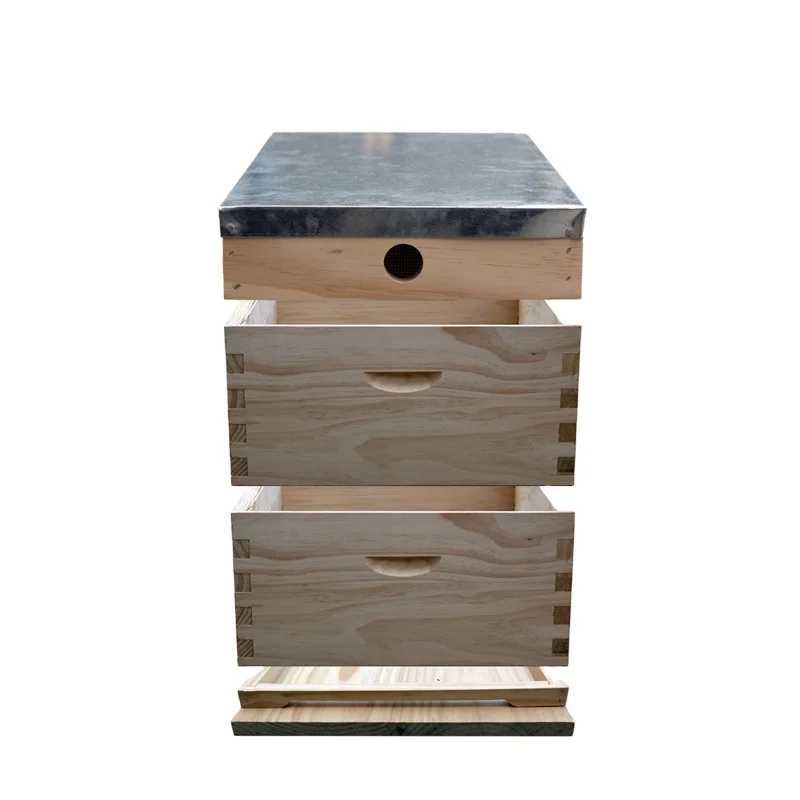 Высококачественные экологичные деревянные ульи 2026 года из новозеландской сосны с рамками для пчеловодства (оборудование)
Высококачественные экологичные деревянные ульи 2026 года из новозеландской сосны с рамками для пчеловодства (оборудование)