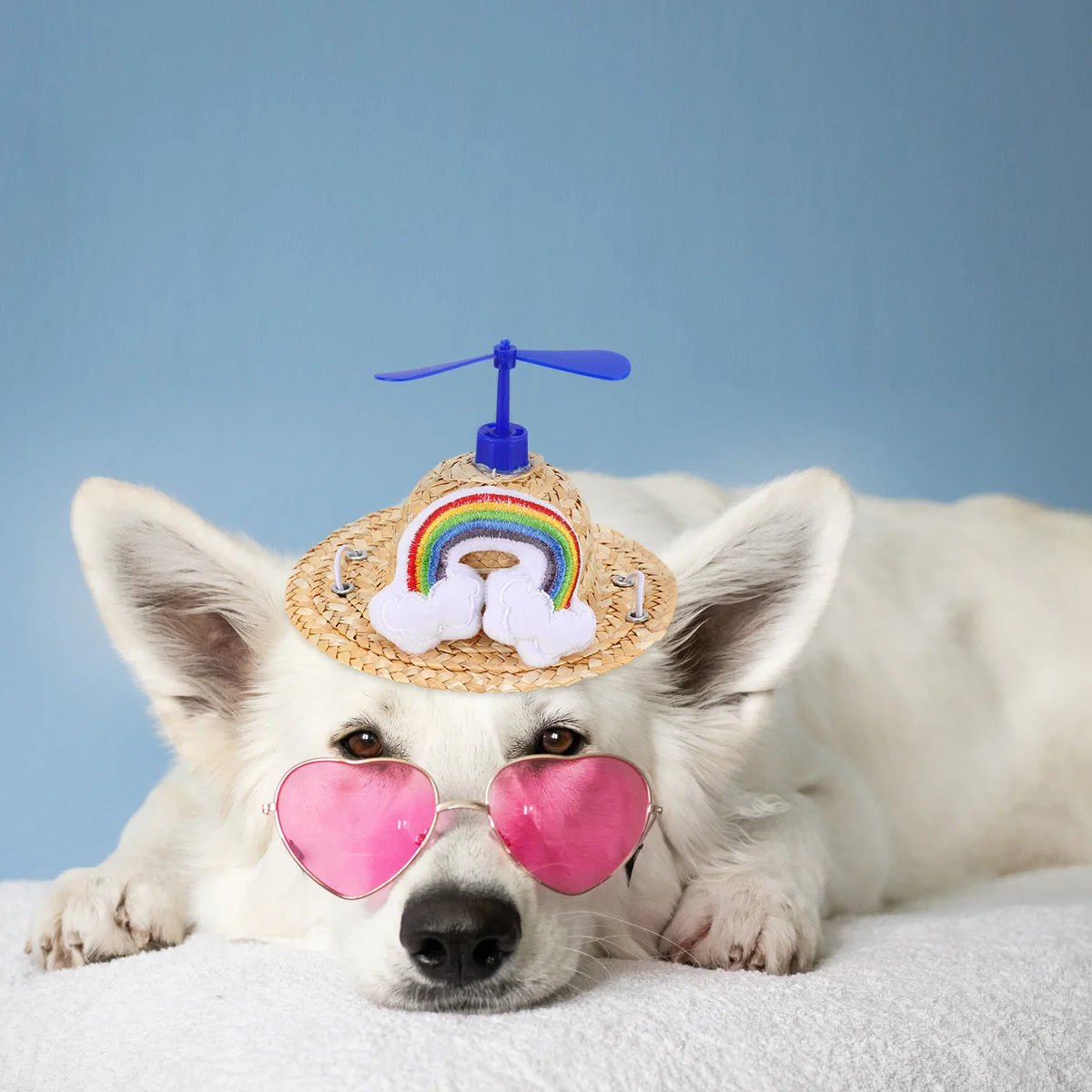 Dark Blue Rainbow Woven Straw Hat for Pets Adjustable Chin Strap Decorative Photo Prop Photo Props 
Dark Blue Rainbow Woven Straw Hat for Pets Adjustable Chin Strap Decorative Photo Prop Photo Props