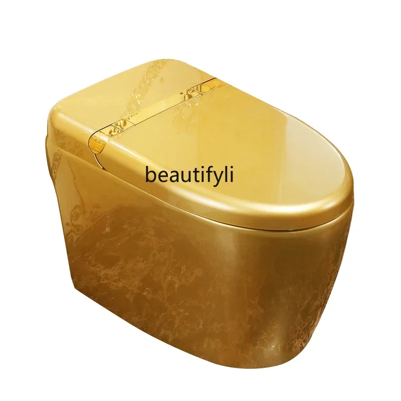 FG28European-style golden toilet instant tankless automatic flip flush drying smart toilet
FG28European-style golden toilet instant tankless automatic flip flush drying smart toilet