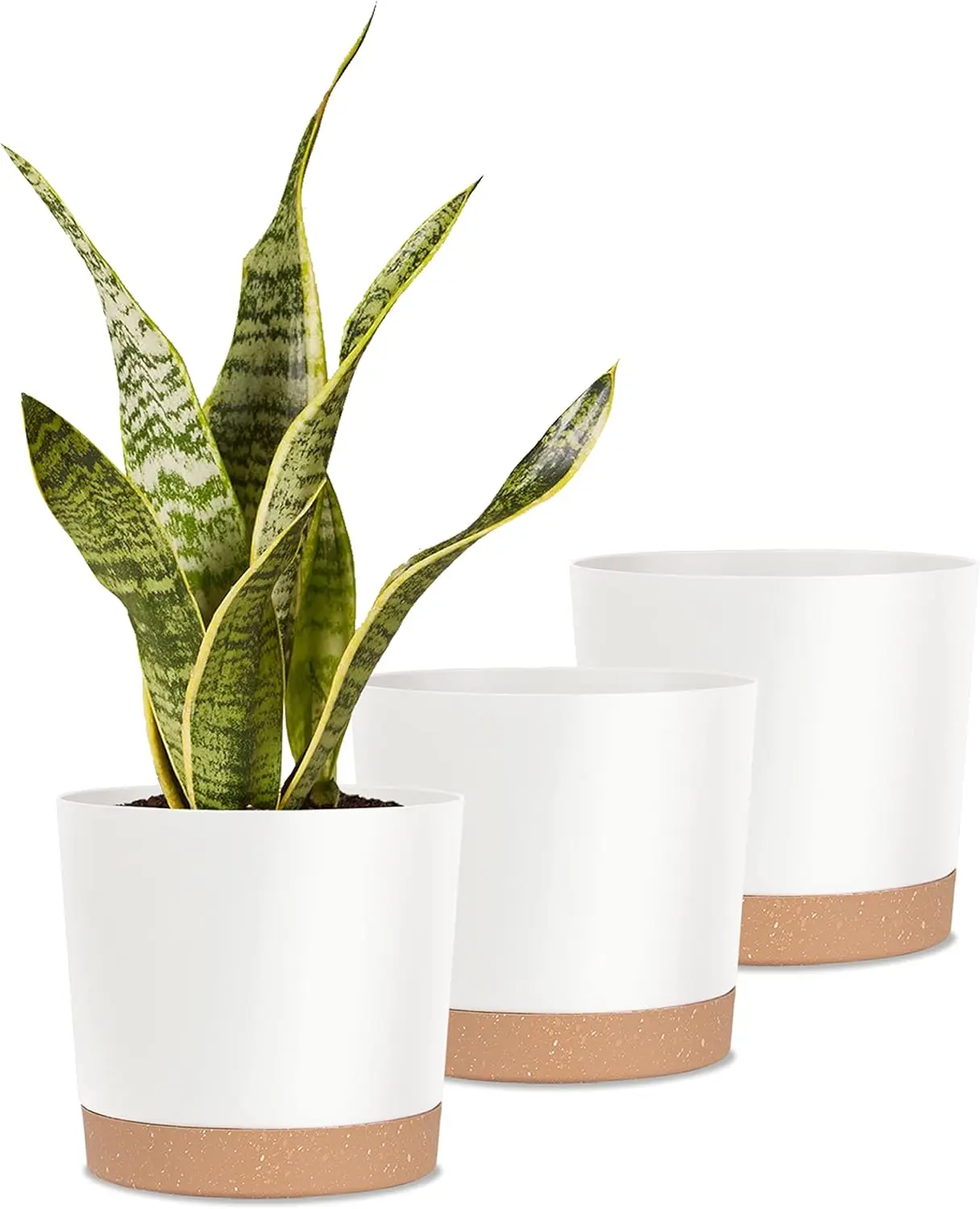 Indoor Plant Pots Planters 8 inch Plastic Planter with Hole & Saucer Flower Pots Modern Decorative for Outdoor Garden Home (W
Indoor Plant Pots Planters 8 inch Plastic Planter with Hole & Saucer Flower Pots Modern Decorative for Outdoor Garden Home (W