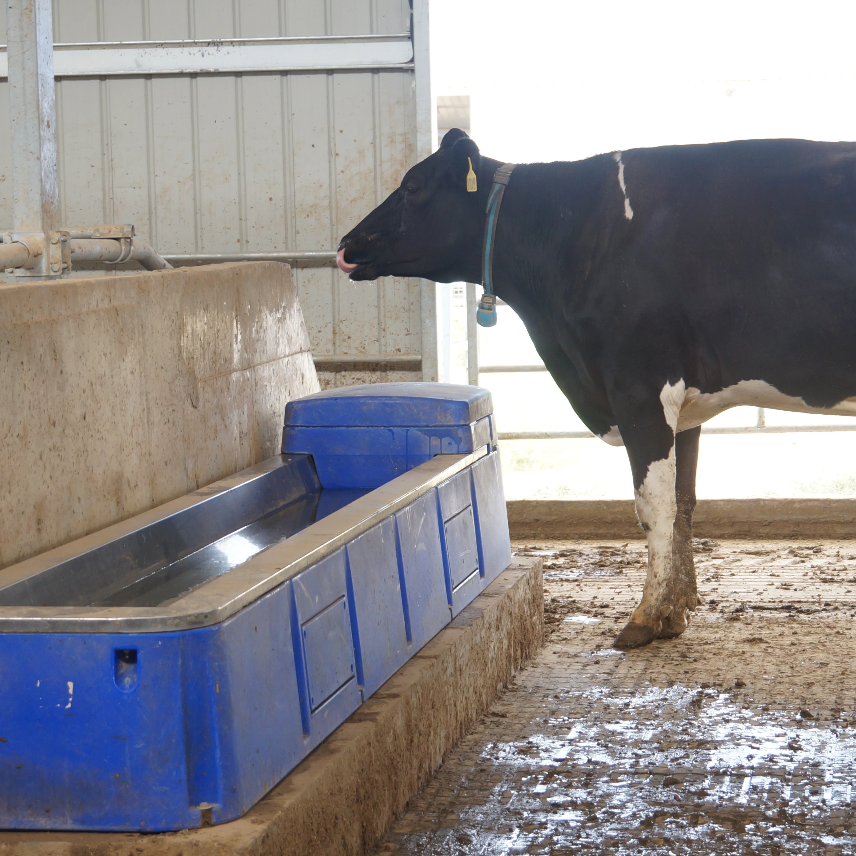 Barn Farm Drinking Water Tank Poultry Equipment Animal Drinkers Livestock Water Trough Plastic Valve Sheep Water Bowl
Barn Farm Drinking Water Tank Poultry Equipment Animal Drinkers Livestock Water Trough Plastic Valve Sheep Water Bowl