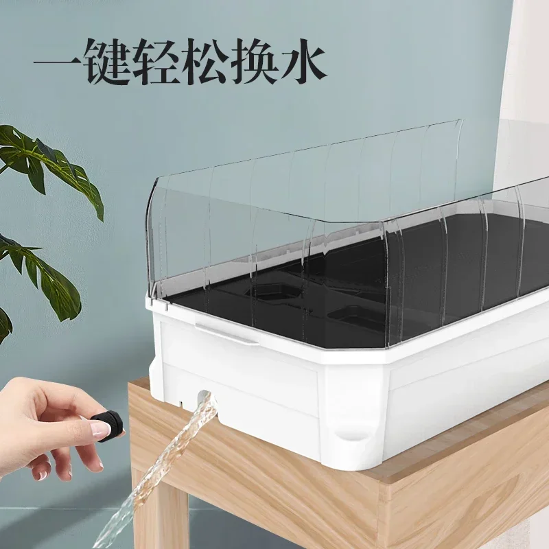 tank with sundeck, large landscaping, ecological water and land tank, villa breeding box, household dedicated turtle box
tank with sundeck, large landscaping, ecological water and land tank, villa breeding box, household dedicated turtle box