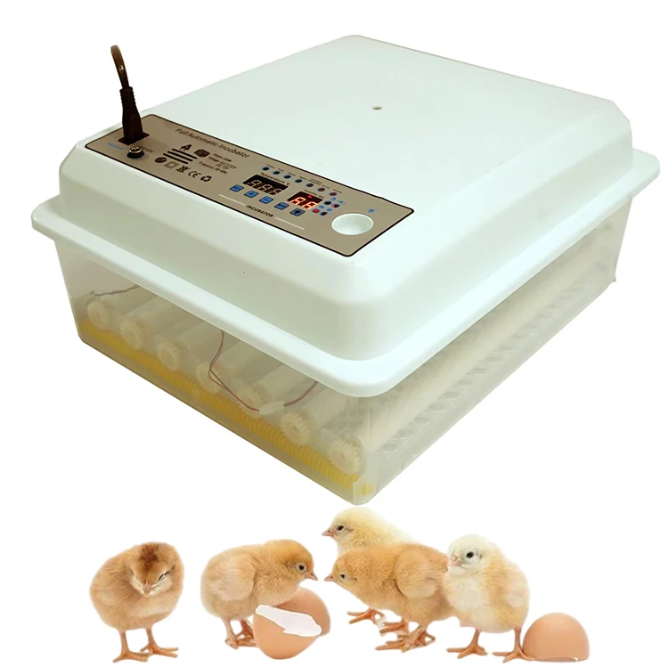 STLFHigh Quality 98% Hatching Rate 36 PCS Fully Automatic Incubators Hatching Eggs
STLFHigh Quality 98% Hatching Rate 36 PCS Fully Automatic Incubators Hatching Eggs
