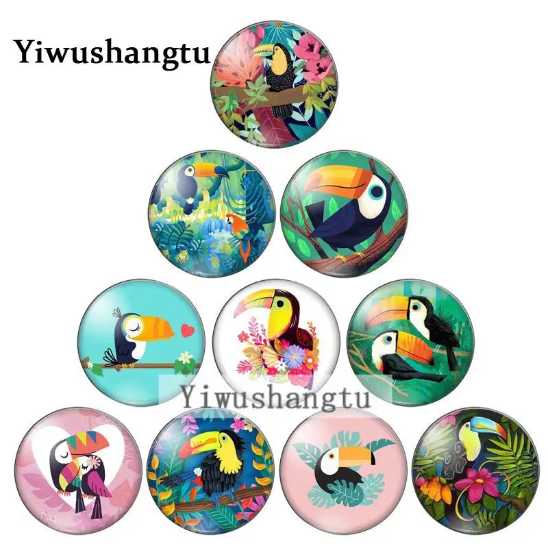 Lovely Bird Ramphastos toco 10pcs10mm/12mm/18mm/20mm/25mm Round photo glass cabochon demo flat back Making findings ZB0543
Lovely Bird Ramphastos toco 10pcs10mm/12mm/18mm/20mm/25mm Round photo glass cabochon demo flat back Making findings ZB0543