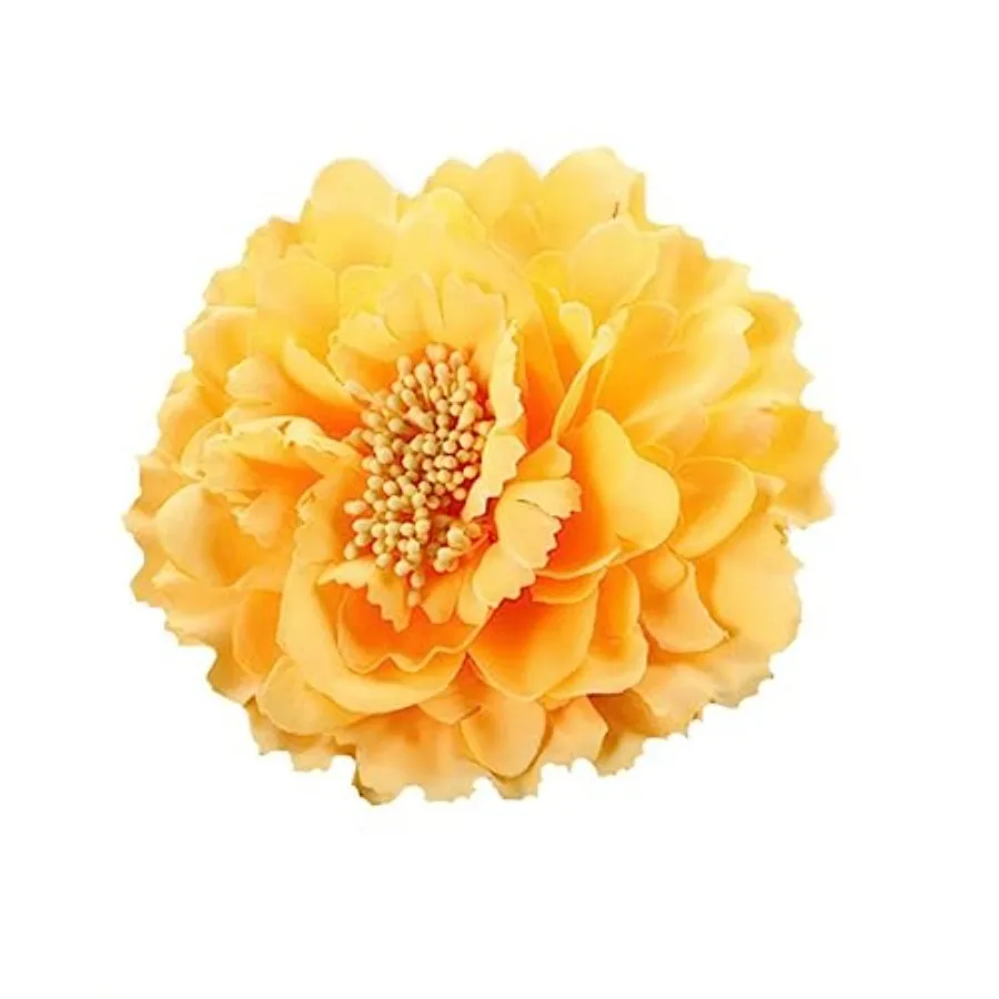 Boho Peony Flower Hair Clip, Flamenco Dancer Flower Brooch, Women's Fashion Hair Accessory for Party, 1 Count
Boho Peony Flower Hair Clip, Flamenco Dancer Flower Brooch, Women's Fashion Hair Accessory for Party, 1 Count