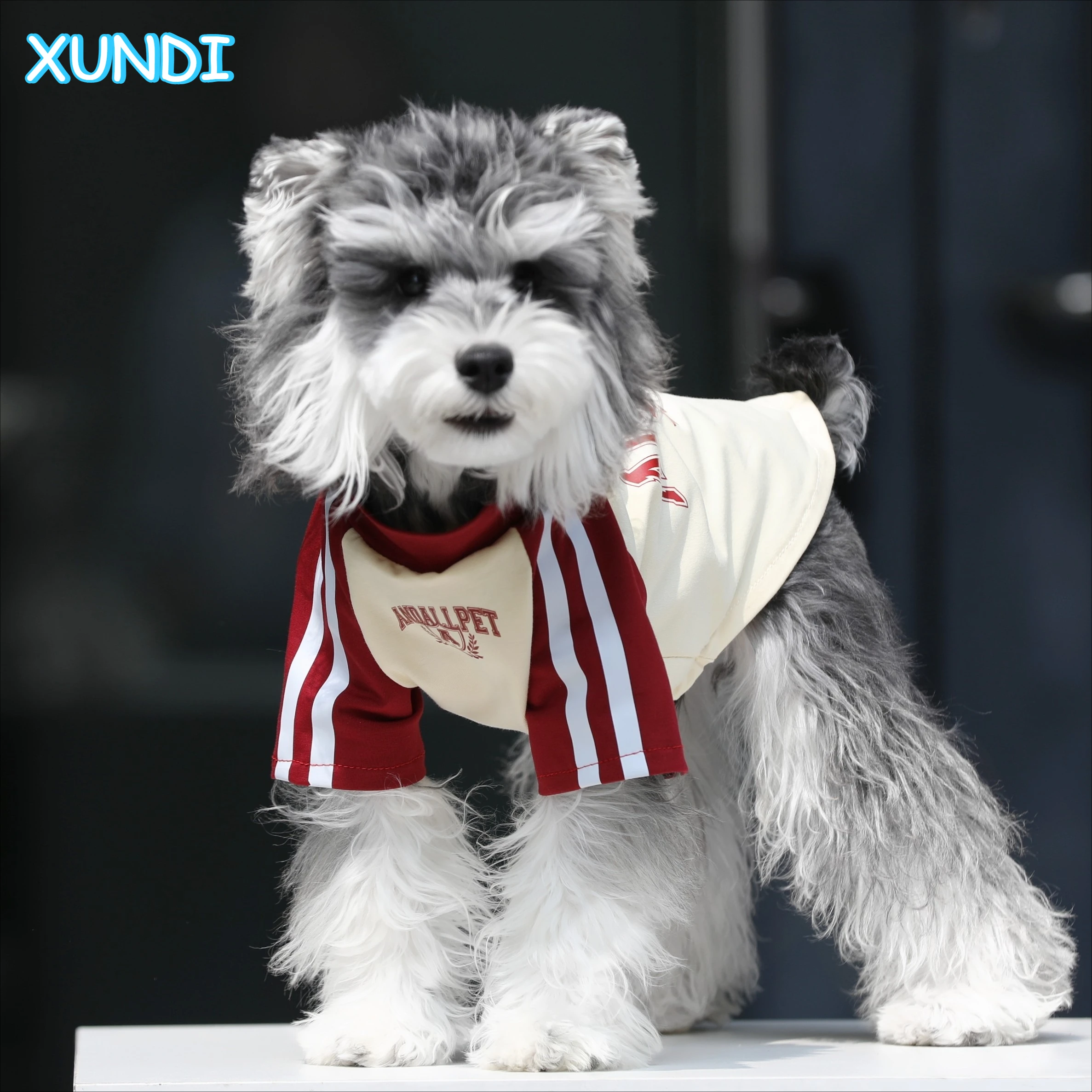 Soft Cat Faux Leather Vest, Warm Windproof Pet Coat, Easy On Off Cat Jacket for Small Dogs Schnauzer Winter
Soft Cat Faux Leather Vest, Warm Windproof Pet Coat, Easy On Off Cat Jacket for Small Dogs Schnauzer Winter