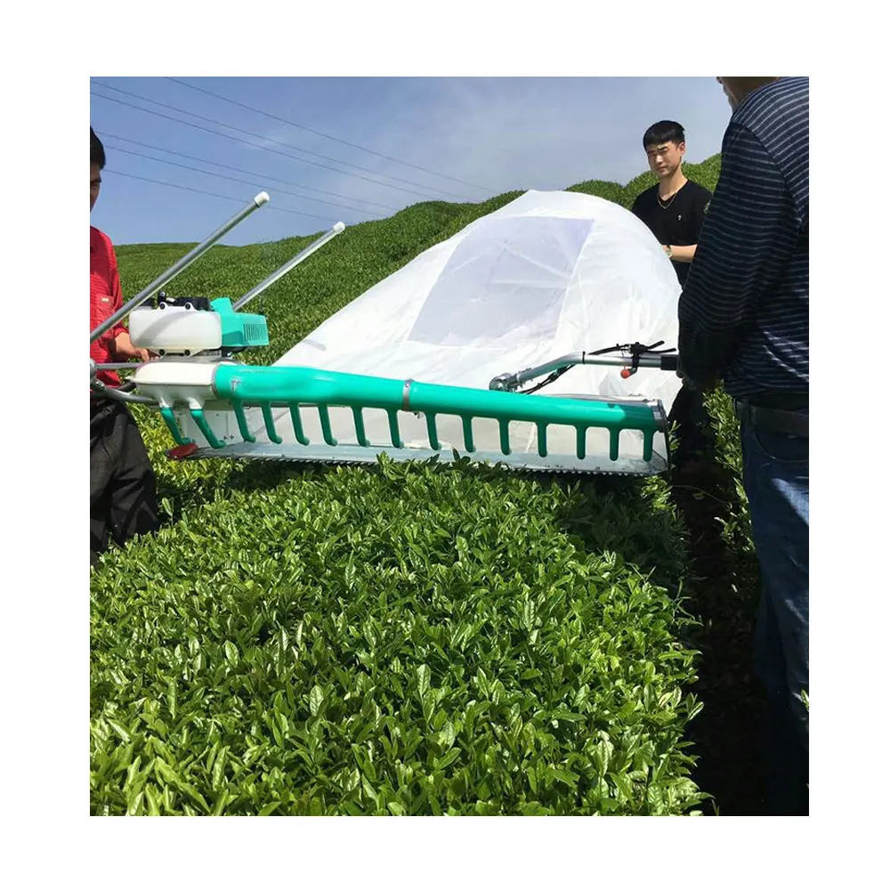 600Mm working width high efficiency tea picker multi-function mini tea picker
600Mm working width high efficiency tea picker multi-function mini tea picker