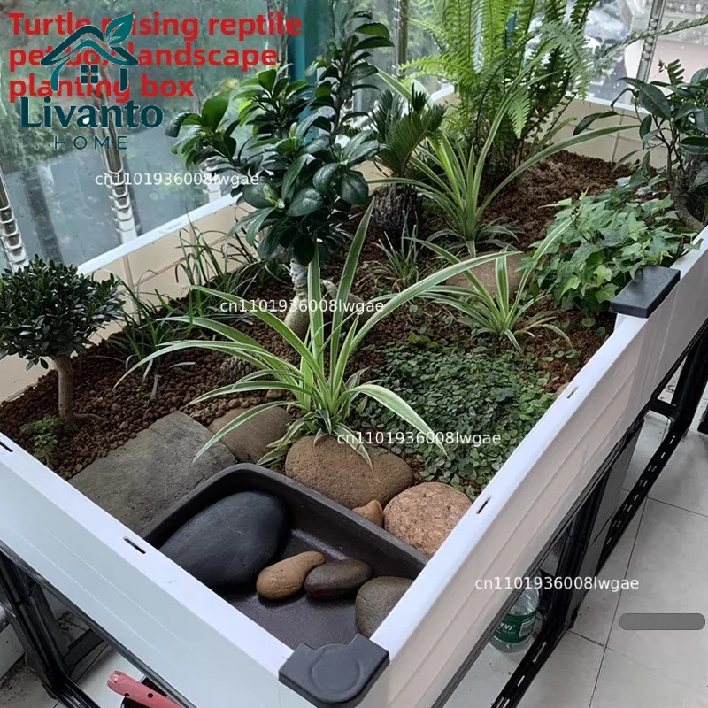 Turtle Habitat Tank with Plants Eco Environment for Yellow Margined Box Turtle Breeding and Landscaping
Turtle Habitat Tank with Plants Eco Environment for Yellow Margined Box Turtle Breeding and Landscaping