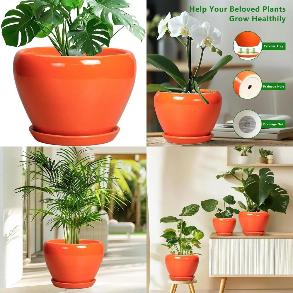 Круглый глазурованный цветочный горшок 10 дюймов с дренажем и поддоном, идеально подходит для комнатных и уличных растений, идеальный подарок для любителей растений.
Круглый глазурованный цветочный горшок 10 дюймов с дренажем и поддоном, идеально подходит для комнатных и уличных растений, идеальный подарок для любителей растений.