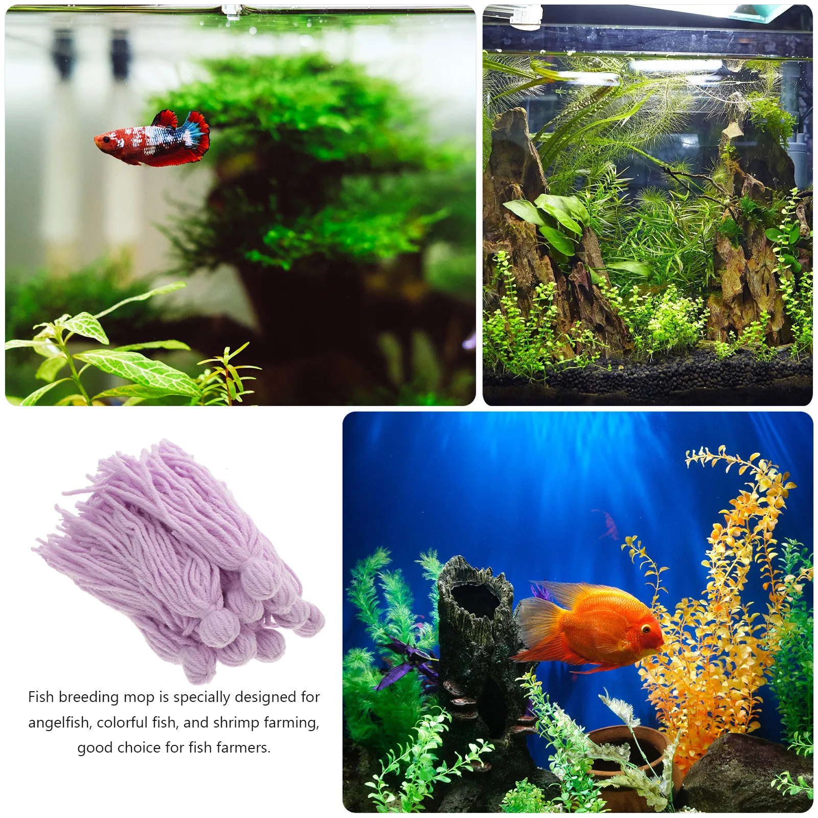 10Pcs Fish Tank Spawning Mop Floating Wool Yarn Breeding Mop Aquarium Decoration Fish Egg Attachment Increase Reproduction Rate
10Pcs Fish Tank Spawning Mop Floating Wool Yarn Breeding Mop Aquarium Decoration Fish Egg Attachment Increase Reproduction Rate