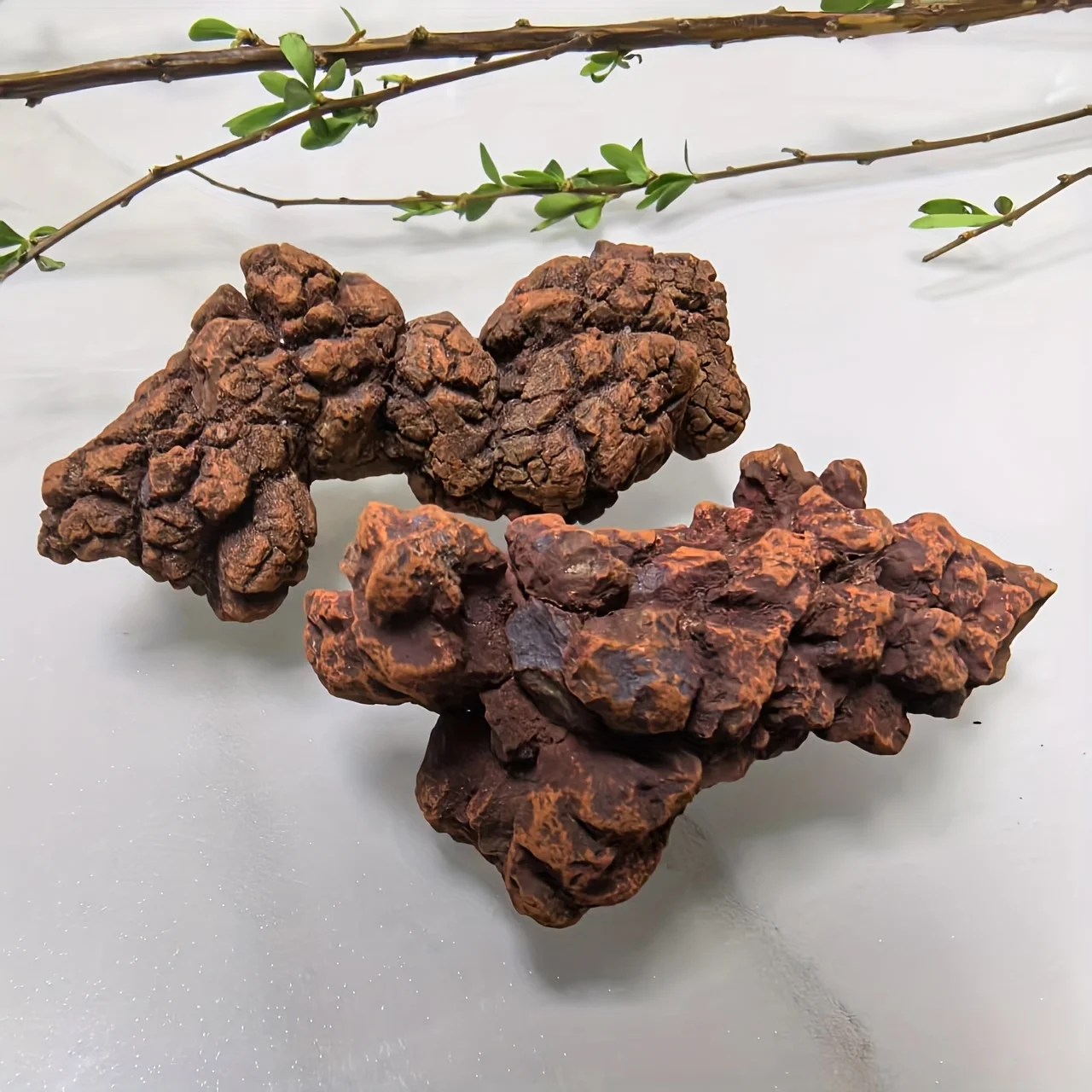 1PC Dinosaur Fossil Collectible - Prehistoric Fossilized Poop Stone, Educational Science Display, Dinosaur Bone Collection
1PC Dinosaur Fossil Collectible - Prehistoric Fossilized Poop Stone, Educational Science Display, Dinosaur Bone Collection