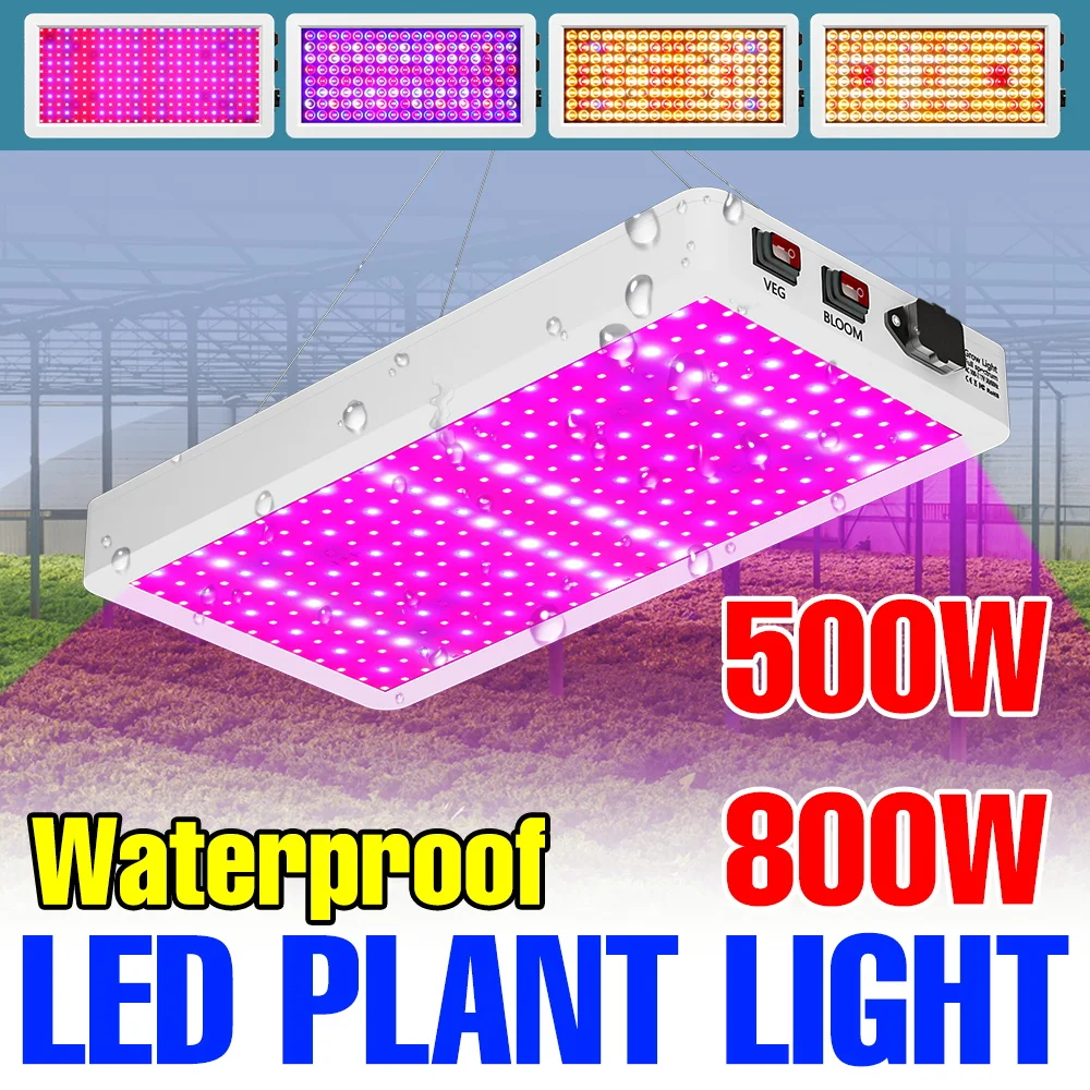 Светодиодный фитосветильник полного спектра 800 Вт, 220 В, для гидропоники, растений, выращивания фруктов, цветов, овощей, рассады, освещение для теплиц
Светодиодный фитосветильник полного спектра 800 Вт, 220 В, для гидропоники, растений, выращивания фруктов, цветов, овощей, рассады, освещение для теплиц