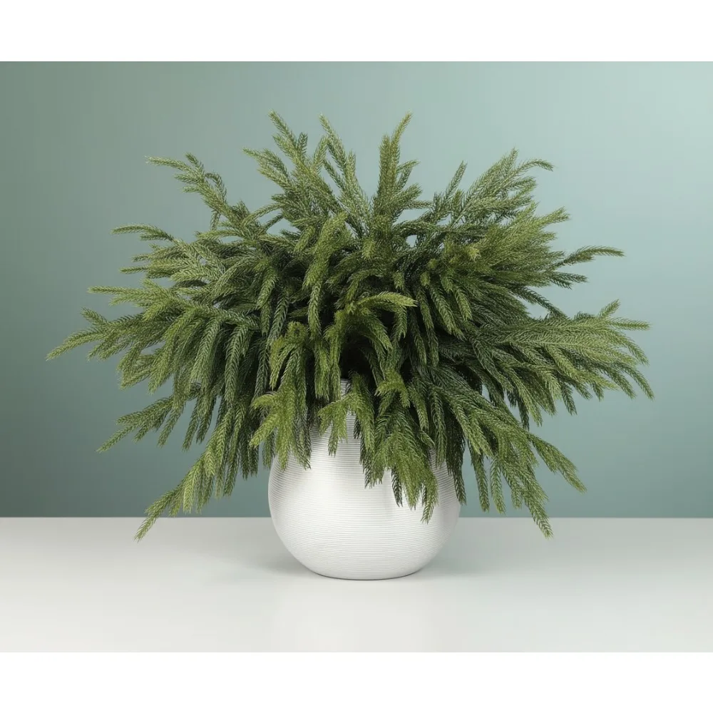 16 шт. настоящие сенсорные сосновые ветки Norfolk 18 дюймов, искусственные рождественские стебли зелени для вазы, сделай сам, поделки, декор в виде венка
16 шт. настоящие сенсорные сосновые ветки Norfolk 18 дюймов, искусственные рождественские стебли зелени для вазы, сделай сам, поделки, декор в виде венка