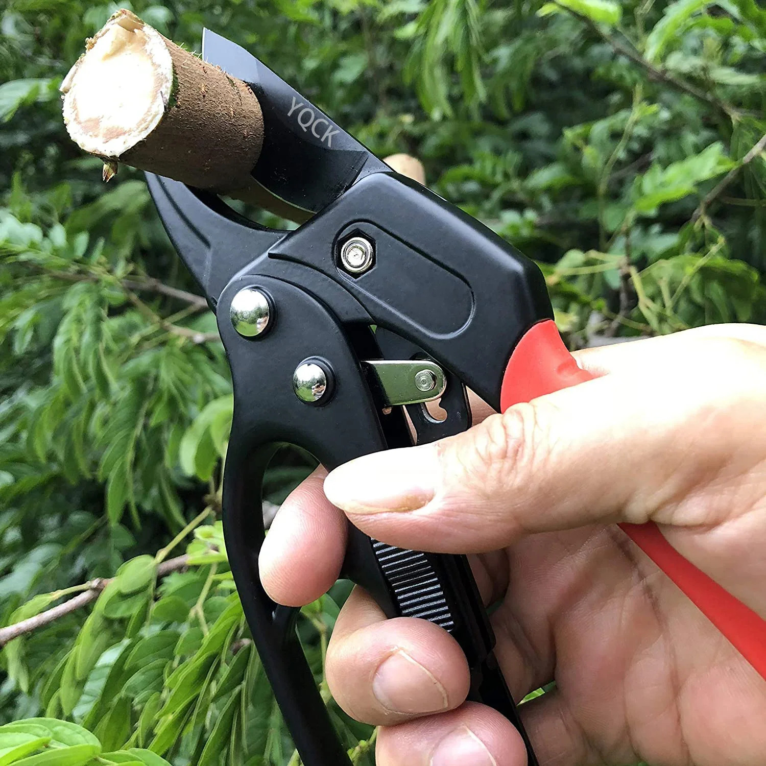 Stainless Steel Pruning Scissors Labor-saving Garden Pruners Fruit Tree Fruit Branch Pruners Orchard Scissors Tools
Stainless Steel Pruning Scissors Labor-saving Garden Pruners Fruit Tree Fruit Branch Pruners Orchard Scissors Tools