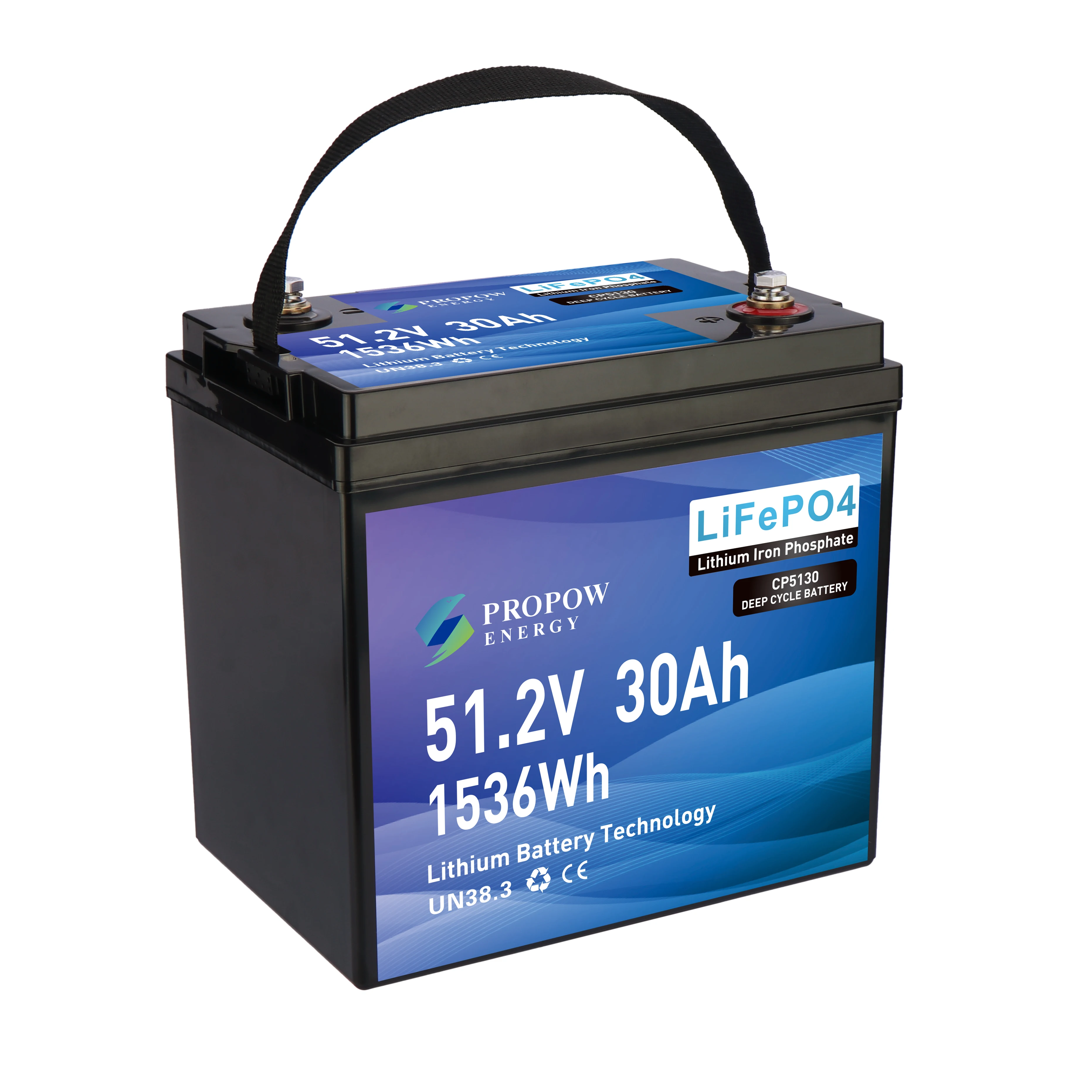 48Volt LiFePO4 Lithium Ion Batteries Lawm Mower Battery 51.2V 30Ah
48Volt LiFePO4 Lithium Ion Batteries Lawm Mower Battery 51.2V 30Ah