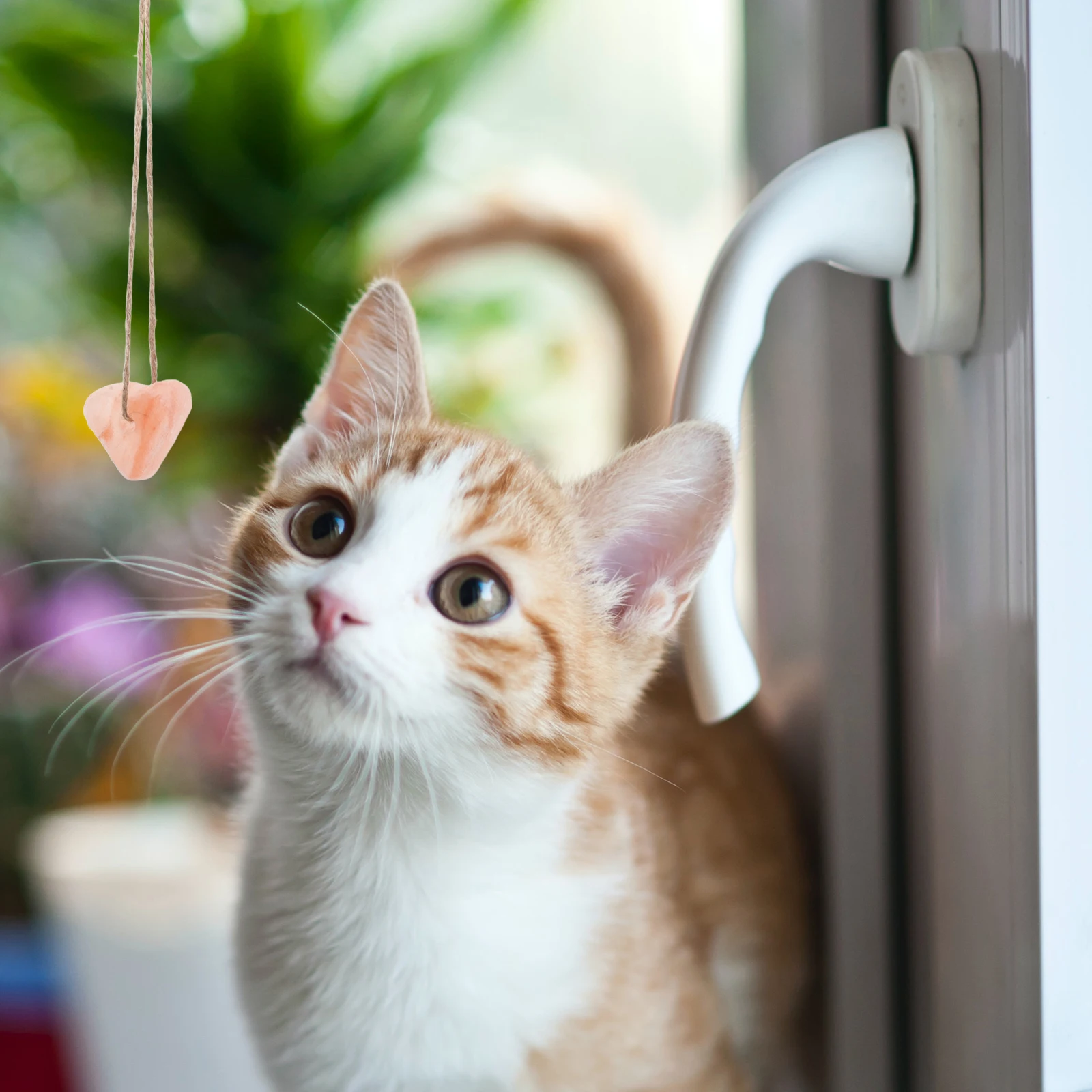 1pcs Pet Salt Block Supply lick salt cows sheep small pets farm animals mineral source hydration
1pcs Pet Salt Block Supply lick salt cows sheep small pets farm animals mineral source hydration