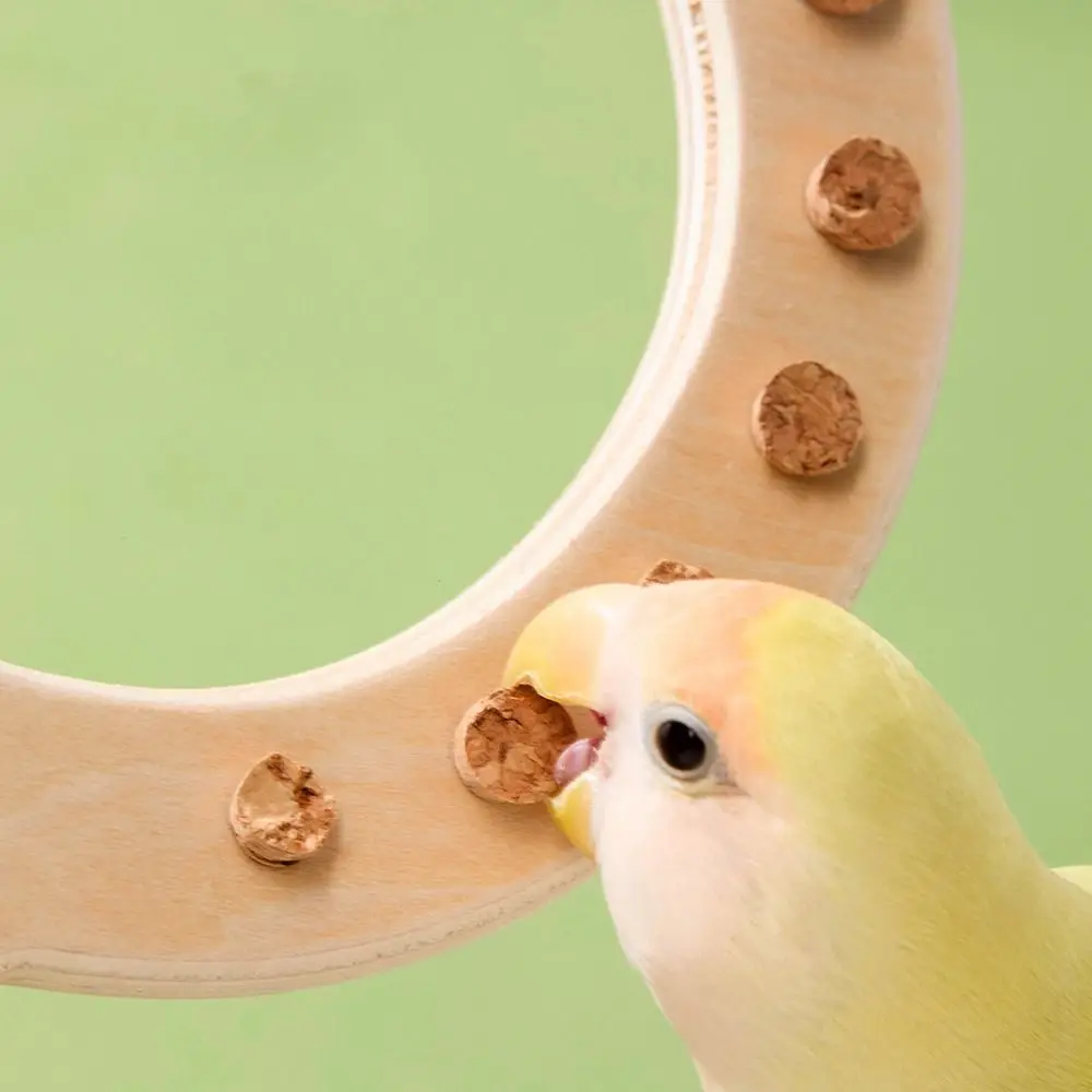 Durable Wooden Pet Birds Cage Toy Non-slip Wear-resistant Parrot Circle Ring Stand Stable Climbing Play Toys Cage Accessory
Durable Wooden Pet Birds Cage Toy Non-slip Wear-resistant Parrot Circle Ring Stand Stable Climbing Play Toys Cage Accessory