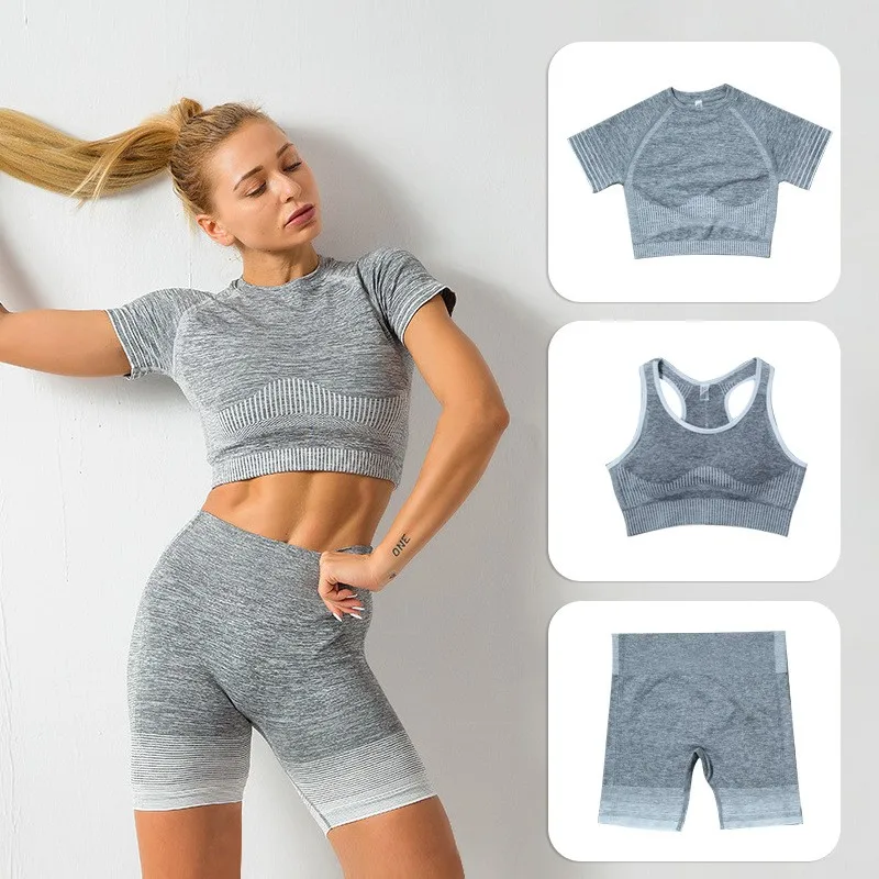 3pcs Gym Sets Womens Outfits Sports Bra Shorts Sleeve Shirt Bike Shorts Workout Set Seamless 
3pcs Gym Sets Womens Outfits Sports Bra Shorts Sleeve Shirt Bike Shorts Workout Set Seamless