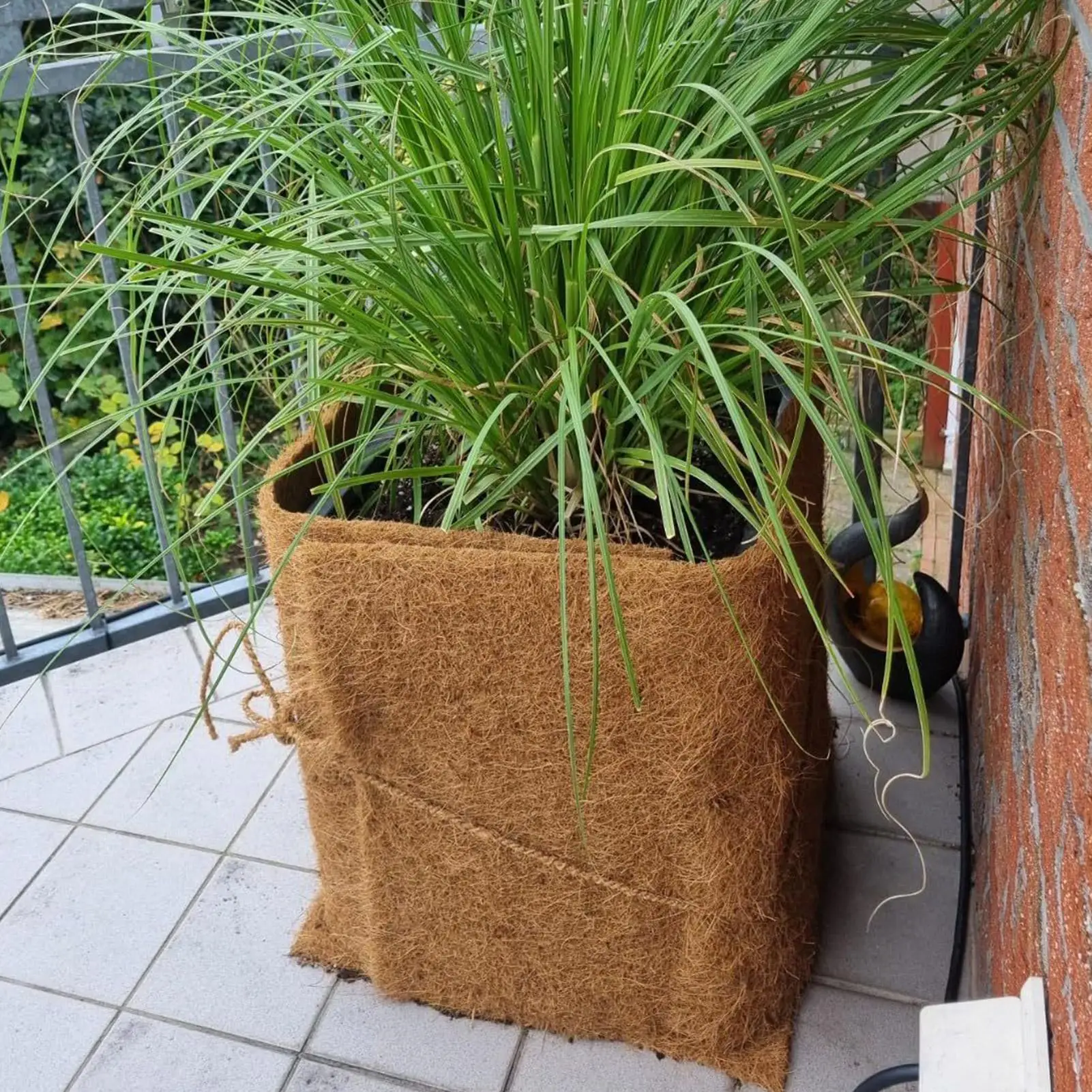 Plant Fiber Roll Reptile Carpet Mat Reptile Bedding Supplies Insulation Flowerpot Basket Coconut Coir Liner Sheet Plants Protect
Plant Fiber Roll Reptile Carpet Mat Reptile Bedding Supplies Insulation Flowerpot Basket Coconut Coir Liner Sheet Plants Protect