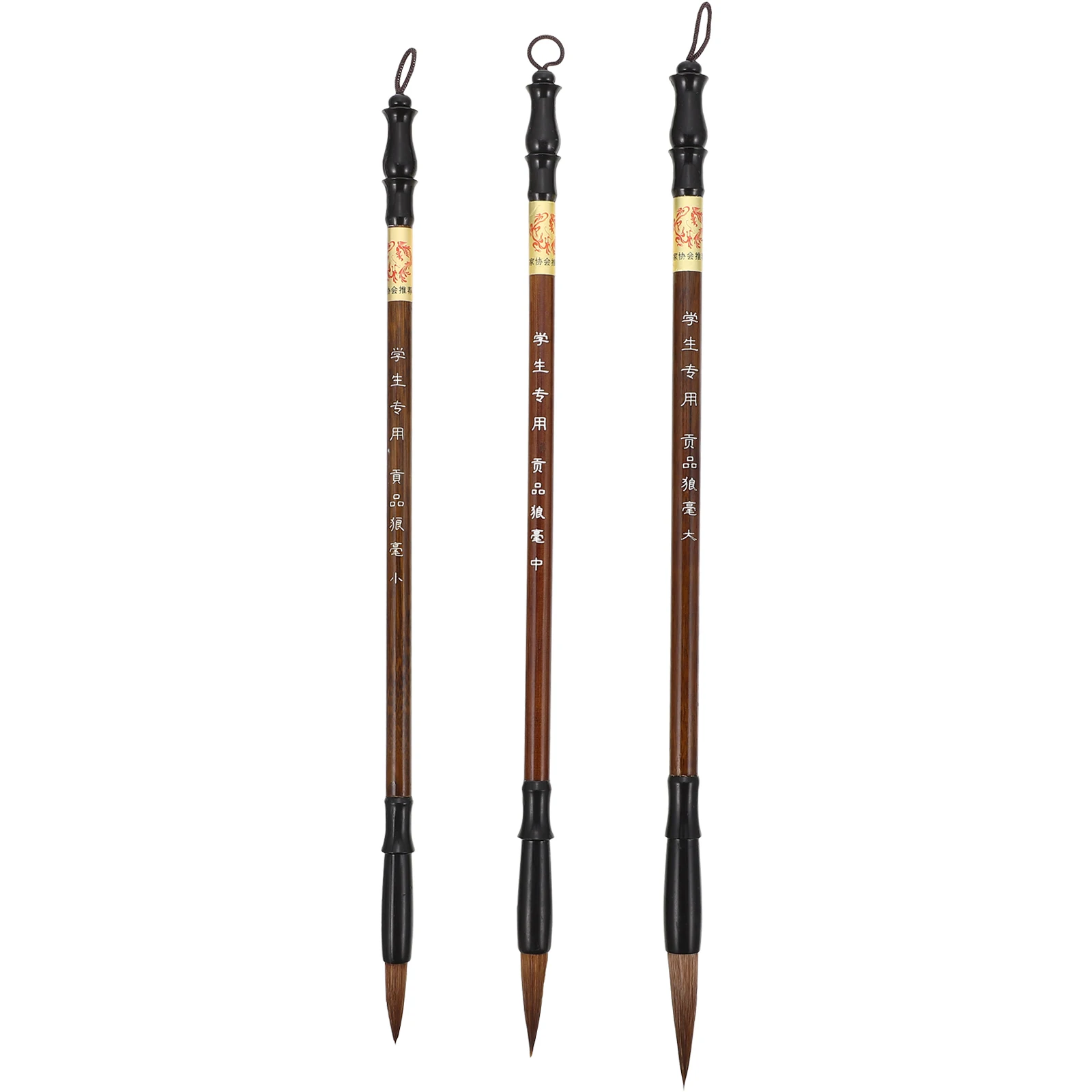 3 Pcs Calligraphy Brush Set Smooth Writing Chinese Painting Pen Wood Handle Professional Artists Students Supplies
3 Pcs Calligraphy Brush Set Smooth Writing Chinese Painting Pen Wood Handle Professional Artists Students Supplies