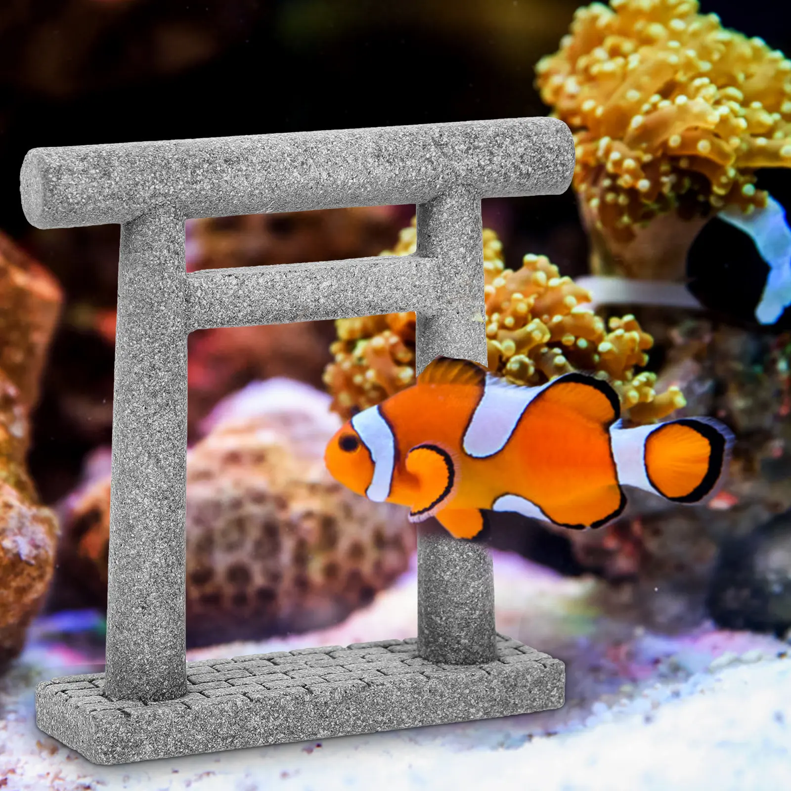 1pc Miniature Stone Torii Gate Japanese Style Waterproof Garden Decor Sculpture For Micro Landscaping Mini Decor Crafts
1pc Miniature Stone Torii Gate Japanese Style Waterproof Garden Decor Sculpture For Micro Landscaping Mini Decor Crafts