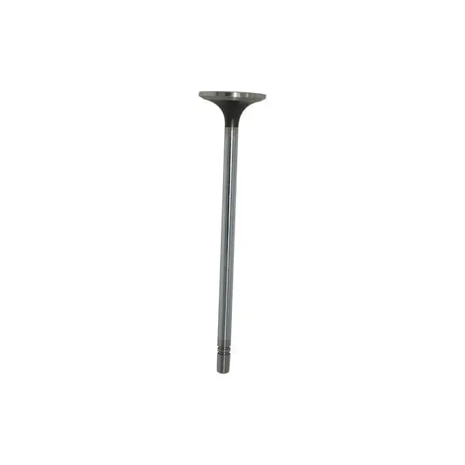 1537024 153-7024 Engine Exhaust Valve For C15 C18 3406 3408 Engine for CATERPILLAR
1537024 153-7024 Engine Exhaust Valve For C15 C18 3406 3408 Engine for CATERPILLAR