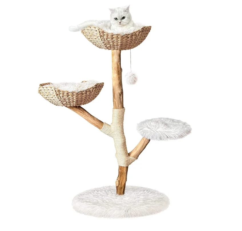 Роскошное современное сверхпрочное деревянное кошачье дерево, уникальное с ветвями из настоящего дерева для кошек и собак
Роскошное современное сверхпрочное деревянное кошачье дерево, уникальное с ветвями из настоящего дерева для кошек и собак