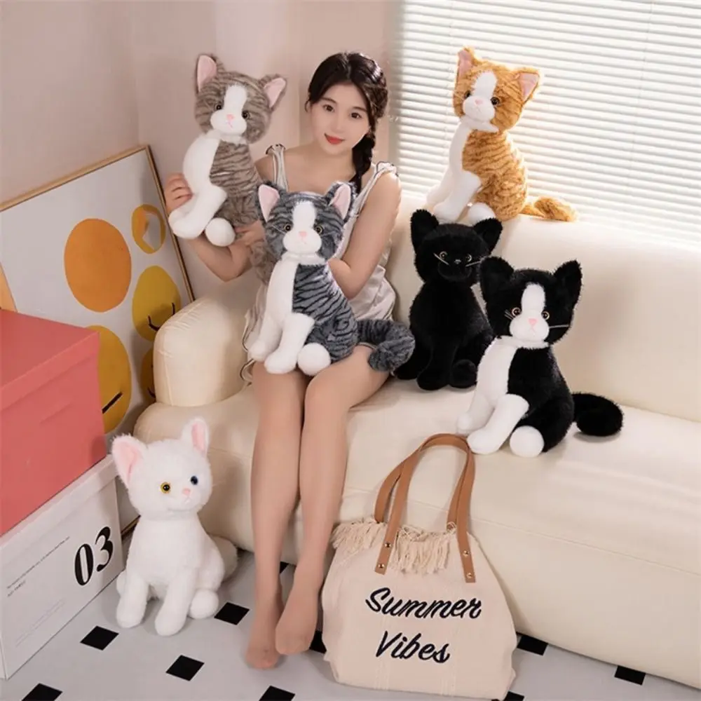 Животное, домашнее животное, кошка, плюшевая игрушка, имбирь, кот, пушистое котенок, мягкая кукла, мягкая поза сидения, мультяшная имитация кошки, кукла, декор комнаты
Животное, домашнее животное, кошка, плюшевая игрушка, имбирь, кот, пушистое котенок, мягкая кукла, мягкая поза сидения, мультяшная имитация кошки, кукла, декор комнаты