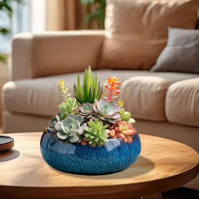 Bonsai Bowl Planter Round Ceramic Water Lily Bowl Planter Glaze Non-Porous Design Indoor Hydroponics Pot Large Caliber Container
Bonsai Bowl Planter Round Ceramic Water Lily Bowl Planter Glaze Non-Porous Design Indoor Hydroponics Pot Large Caliber Container