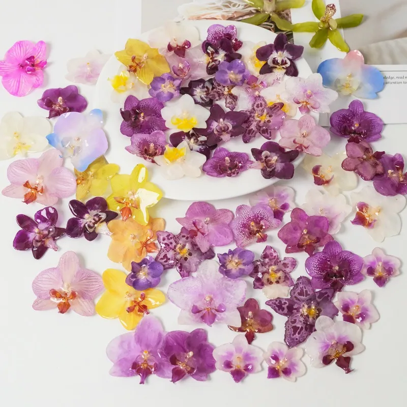 4-Piece Set of Real Flower Resin-Dipped Phalaenopsis Orchid DIY Earrings, Brooch Materials & Home Decor
4-Piece Set of Real Flower Resin-Dipped Phalaenopsis Orchid DIY Earrings, Brooch Materials & Home Decor