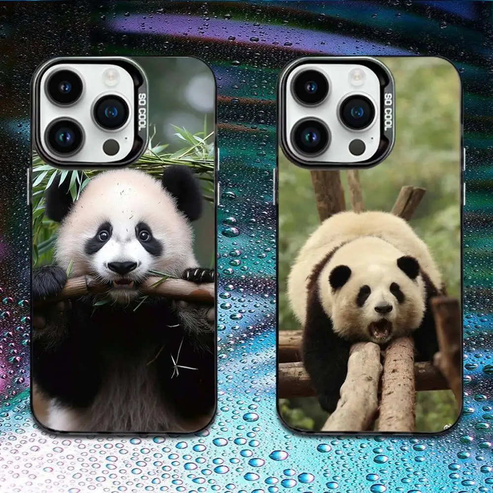 Cute F-Fubao Animal Panda Phone Case For iPhone 16,15,14,13,12,11,Mini,Pro,E,MAX Black Candy Matte Shockproof Cover
Cute F-Fubao Animal Panda Phone Case For iPhone 16,15,14,13,12,11,Mini,Pro,E,MAX Black Candy Matte Shockproof Cover