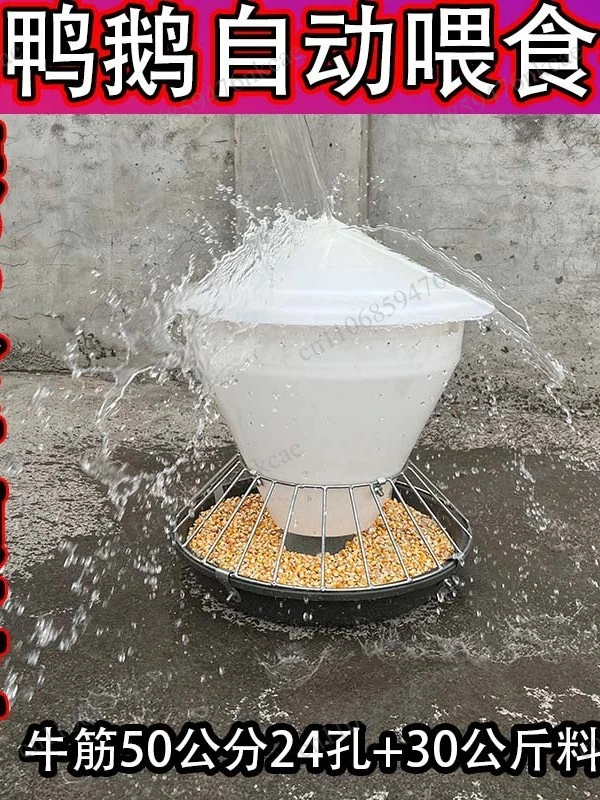 Poultry anti-scattering trough Chicken duck goose automatic feeding trough Breeding chicken feeding and unloader
Poultry anti-scattering trough Chicken duck goose automatic feeding trough Breeding chicken feeding and unloader