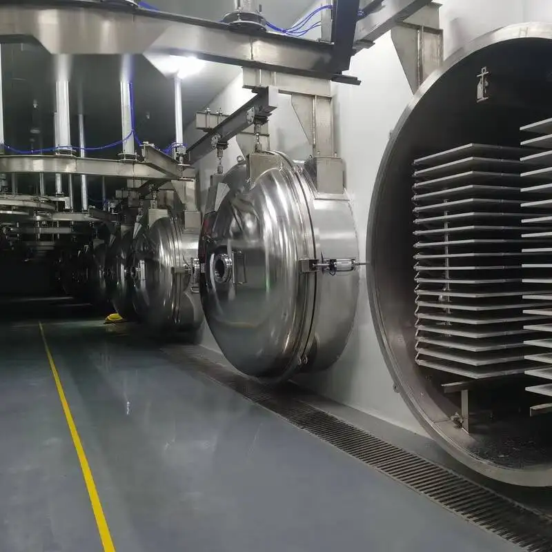 Vacuum Dryer Sea Cucumber Low Temperature Dehydration Equipment Seafood Supplements Food Freeze Drying
Vacuum Dryer Sea Cucumber Low Temperature Dehydration Equipment Seafood Supplements Food Freeze Drying