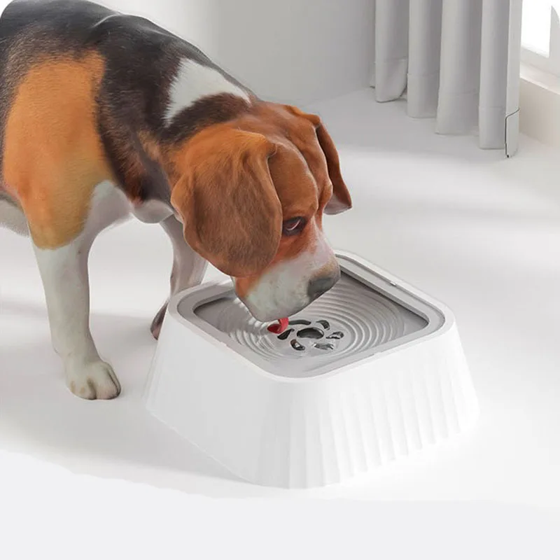 Suspended Dog Water Bowl Splash Proof And Non Wetting Mouth 1.3L Large Capacity Dog Water Dispenser Anti Tipping
Suspended Dog Water Bowl Splash Proof And Non Wetting Mouth 1.3L Large Capacity Dog Water Dispenser Anti Tipping