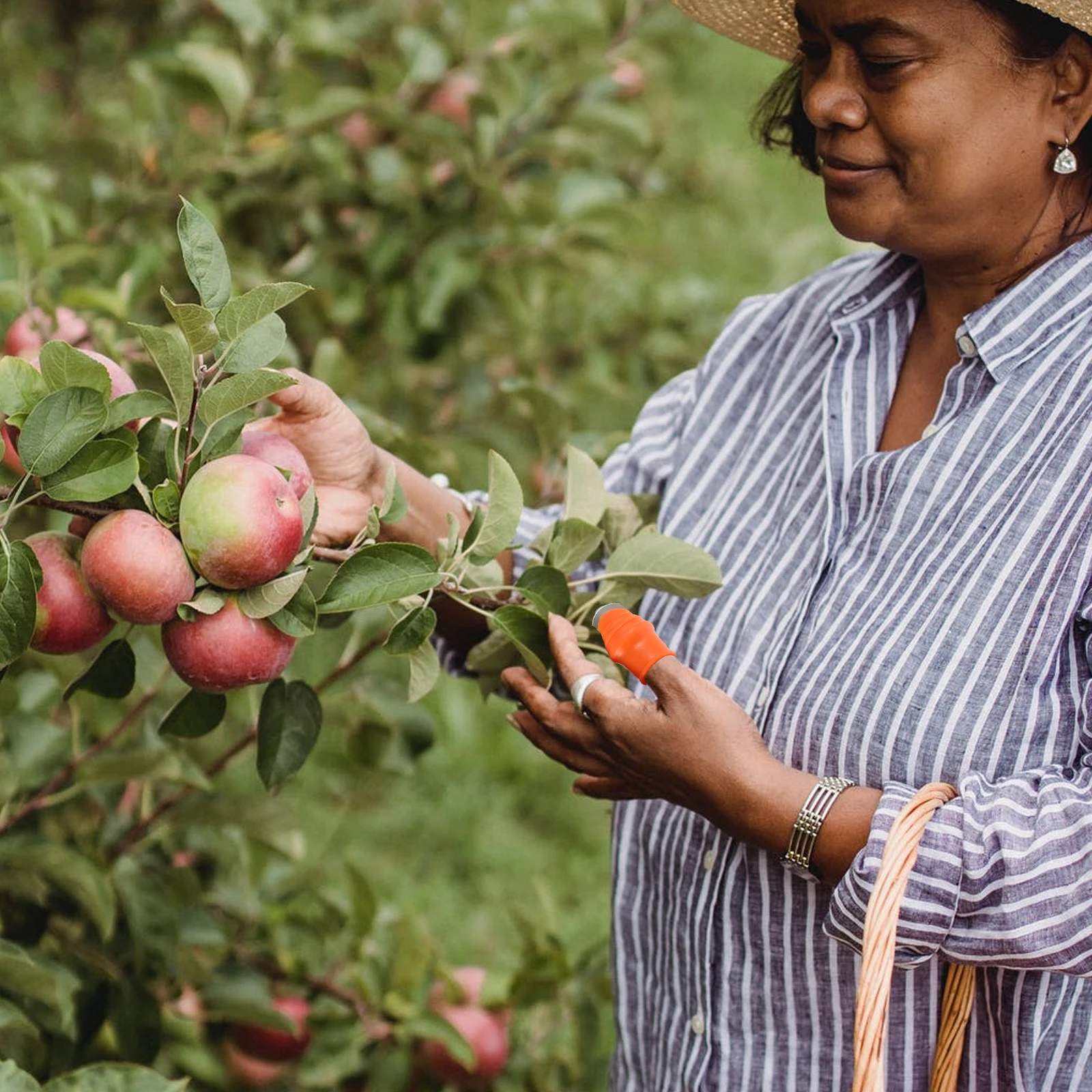 Pepper Pinch Plant Gardening Tools Plants Picking Harvest Accessories
Pepper Pinch Plant Gardening Tools Plants Picking Harvest Accessories