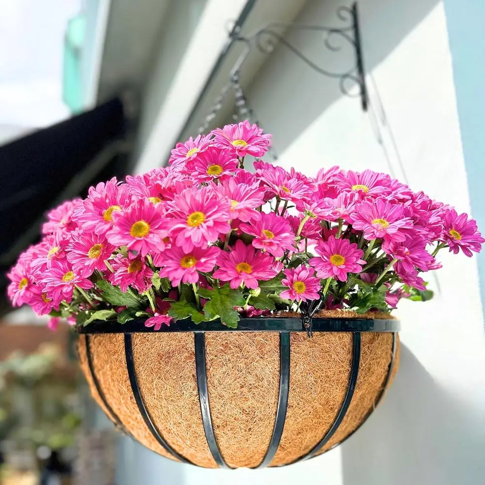 20 Inch Extra Large Black Metal Hanging Planters with Liner, 2 Pack - Ideal for Deck, Porch, Garden, and Balcony Decor
20 Inch Extra Large Black Metal Hanging Planters with Liner, 2 Pack - Ideal for Deck, Porch, Garden, and Balcony Decor