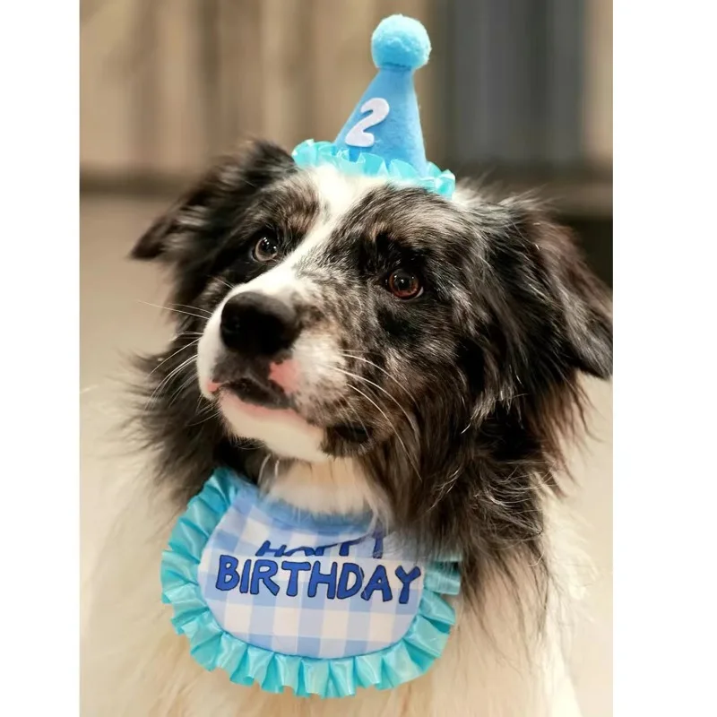 10pcs Pet Birthday Party Hats Bib Props Set Happy Birthday Dogs and Cats Decorative Props Colorful Balls Bib for Birthday Gift
10pcs Pet Birthday Party Hats Bib Props Set Happy Birthday Dogs and Cats Decorative Props Colorful Balls Bib for Birthday Gift