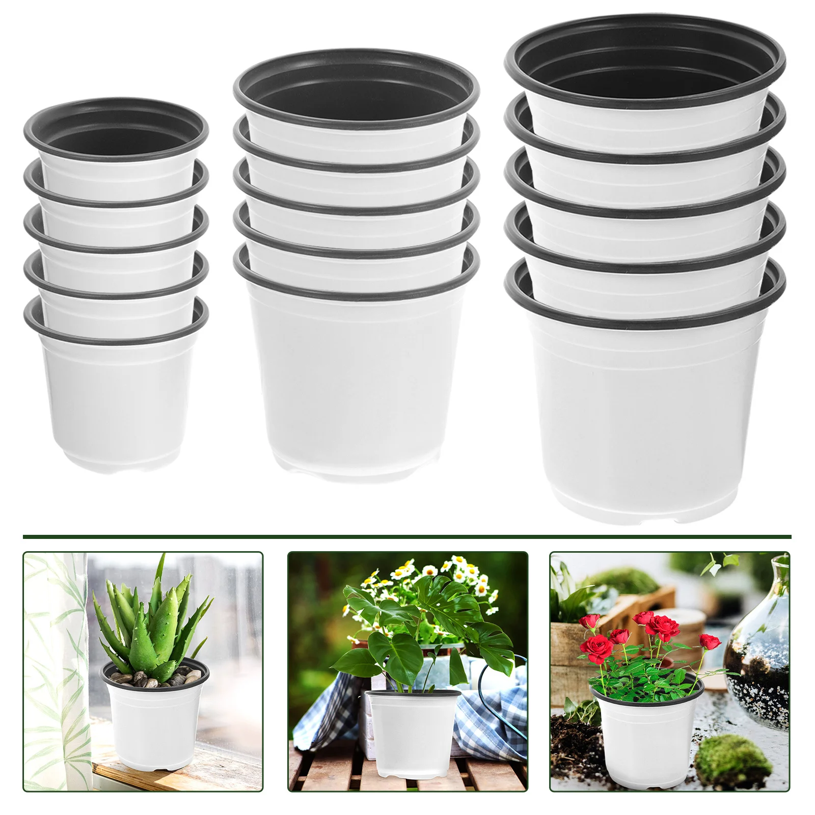 30Pcs Plastic Flowerpots Nursery Pots Lightweight Durable with Bottom Drainage Holes Great for Seedling Gardening 
30Pcs Plastic Flowerpots Nursery Pots Lightweight Durable with Bottom Drainage Holes Great for Seedling Gardening